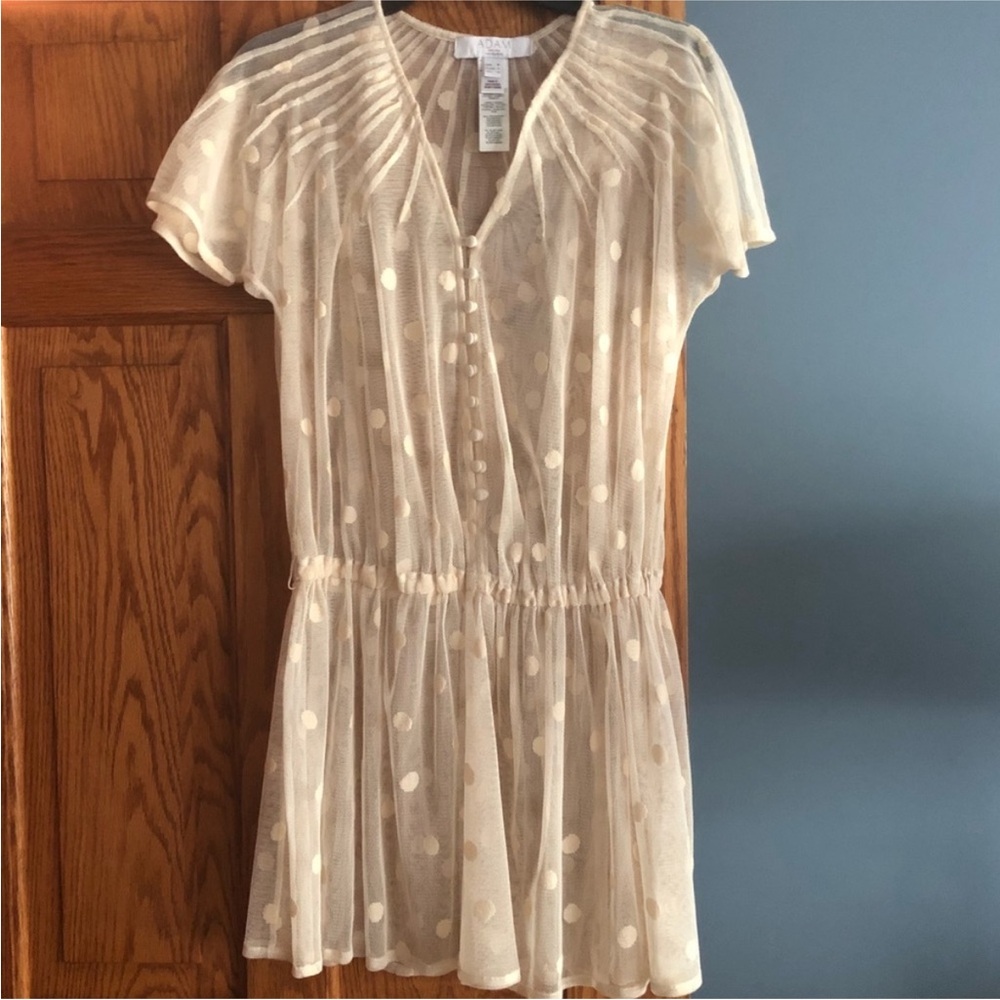 Sheer dress